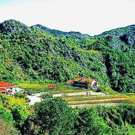 Eco Winery Lipovac Apartments Cetinje Kültér fotó