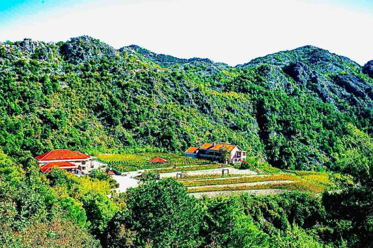 Eco Winery Lipovac Apartments Cetinje Kültér fotó